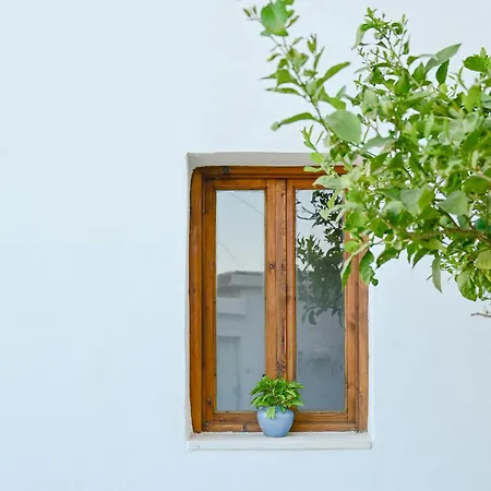 Dimitras House