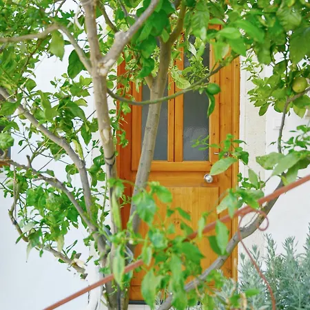 Dimitras House